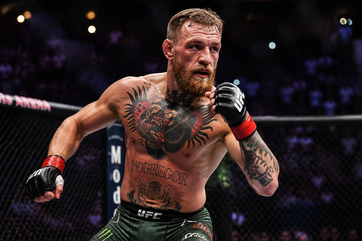 mma - ufc: conor mcgregor sets his sights on a comeback next summer, aiming to return to the octagon with full force. stay updated with sport 365 for the latest news and insights.